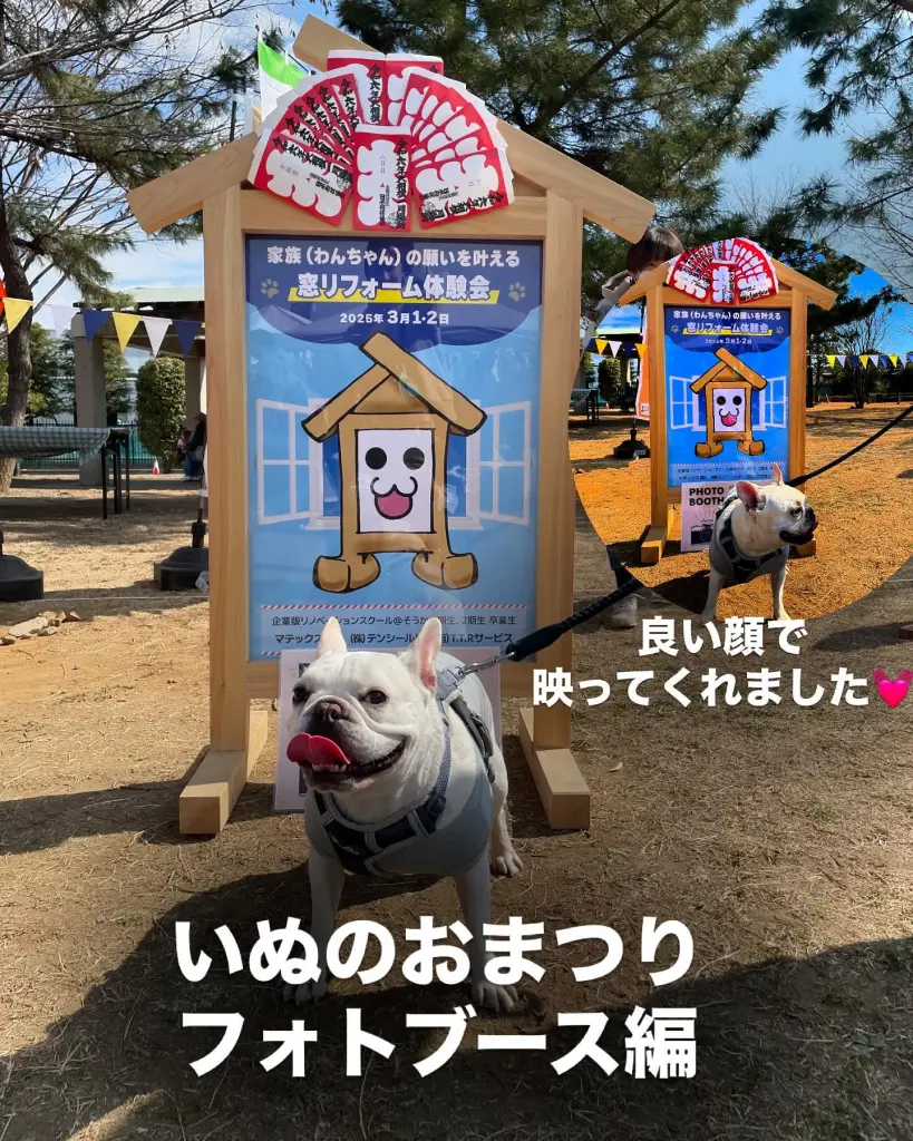 482365751_18136990654376485_90